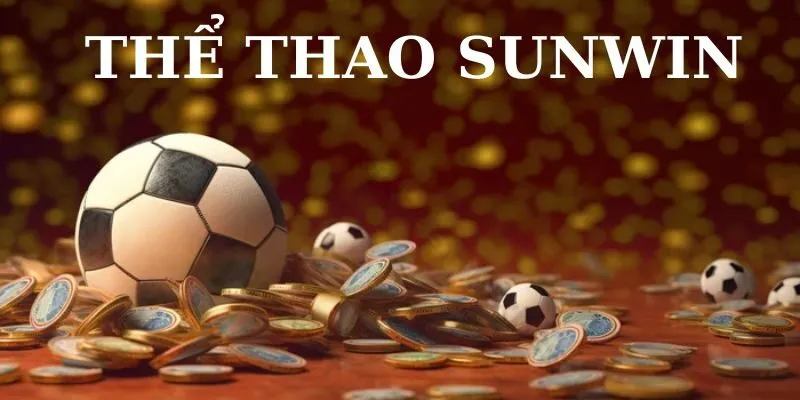 Giới thiệu sơ lược về sảnh thể thao Sunwin